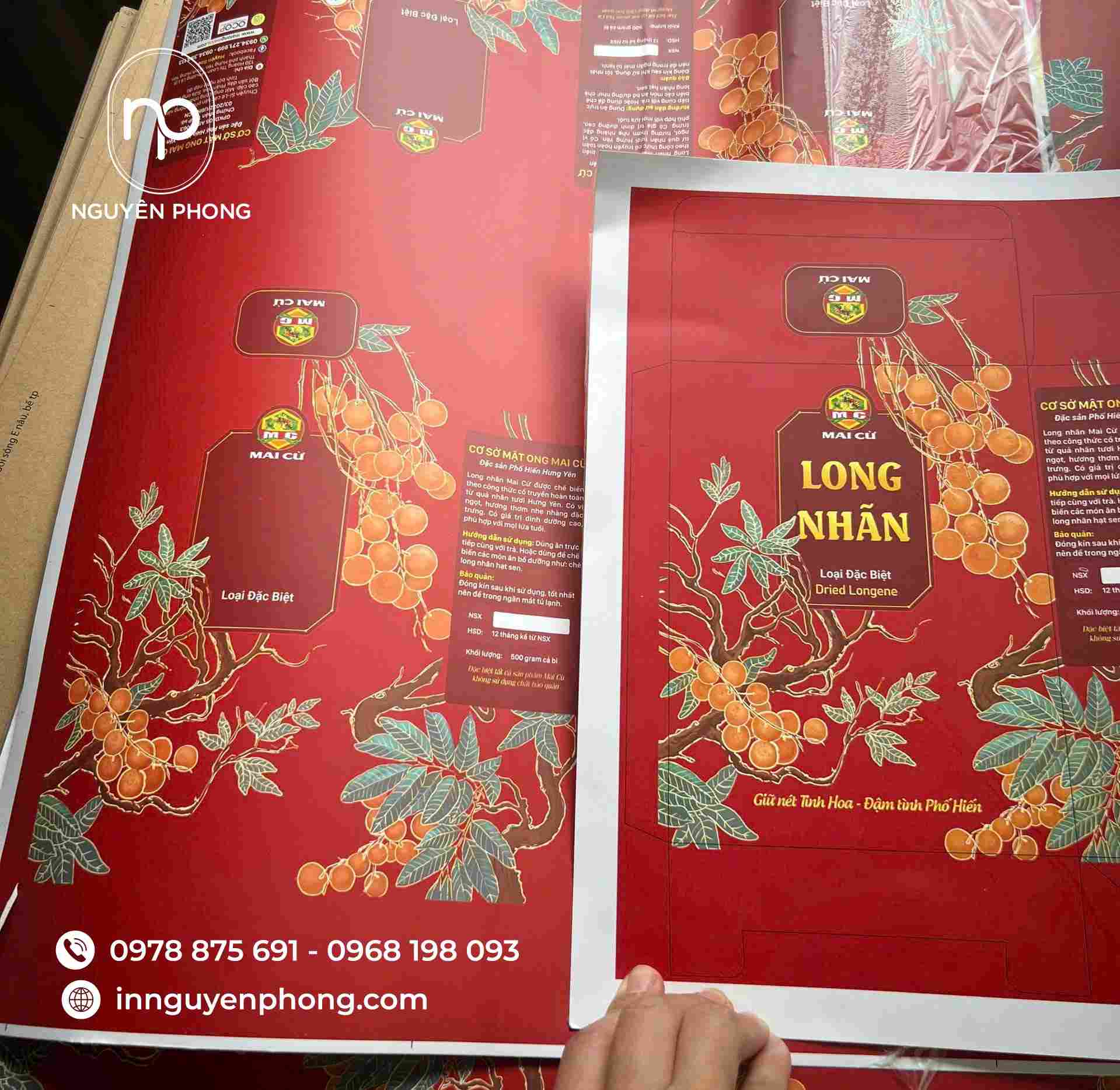 Bản in hộp giấy đựng long nhãn